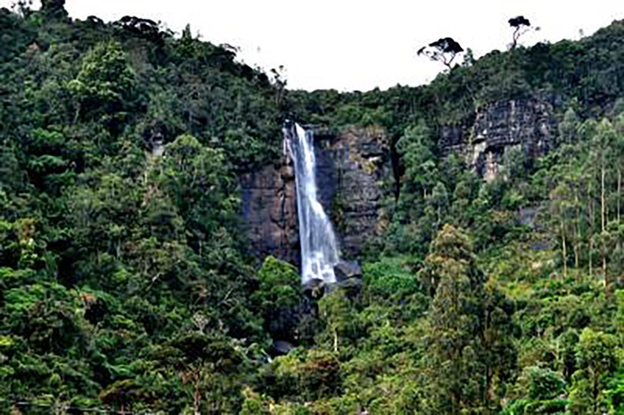 DREAM Hill HOMESTAY NUWARA ELIYA Exteriör bild