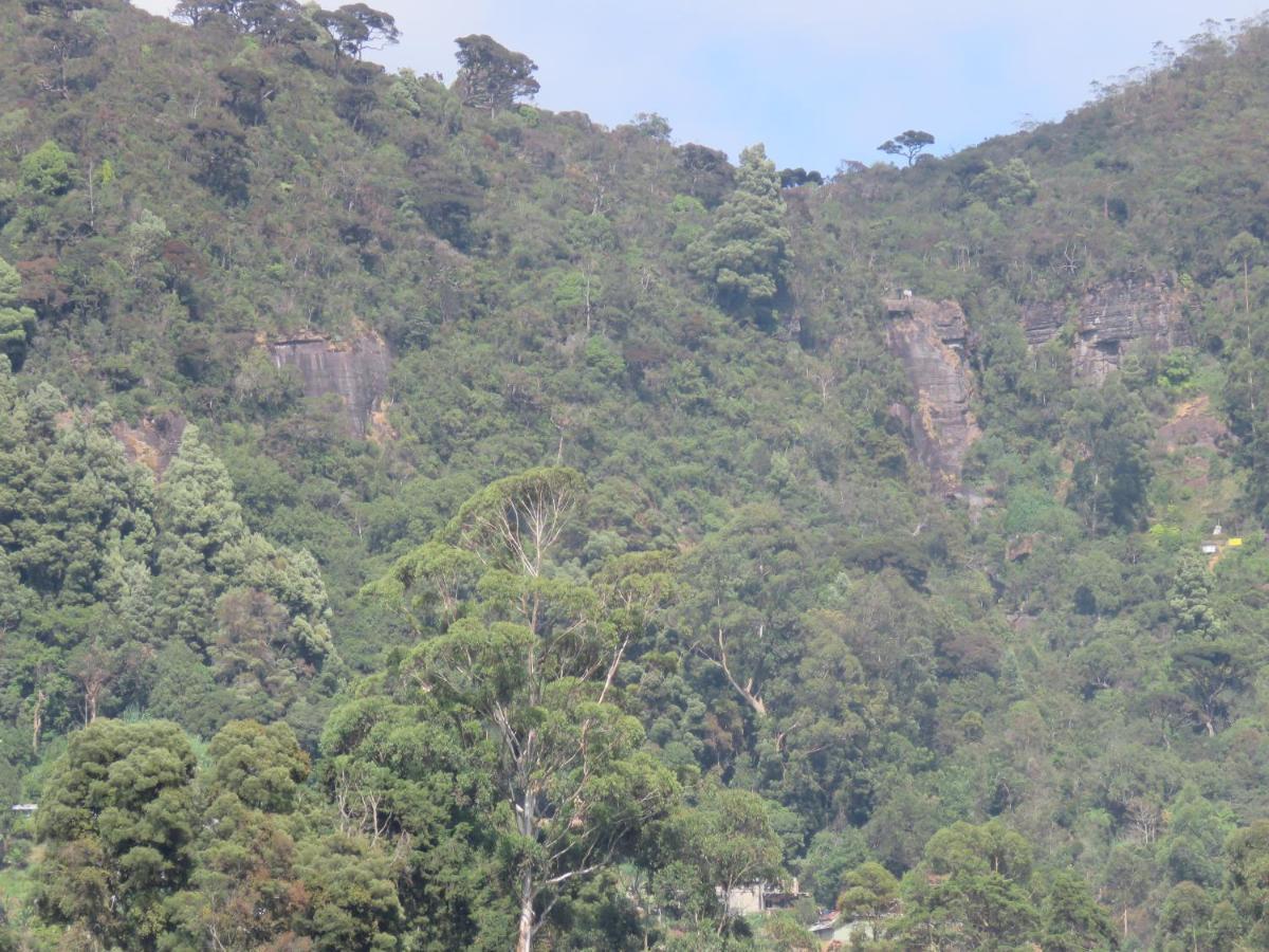 DREAM Hill HOMESTAY NUWARA ELIYA Exteriör bild