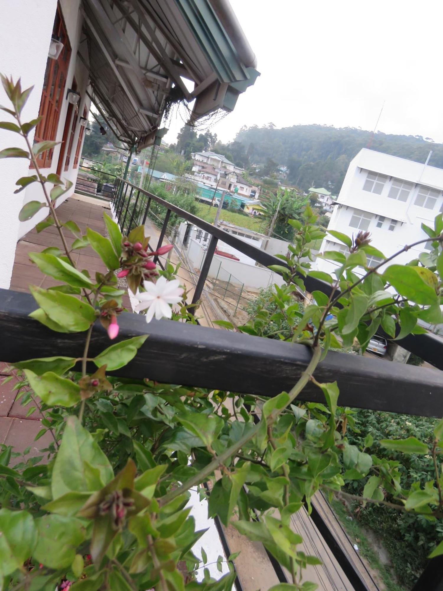 DREAM Hill HOMESTAY NUWARA ELIYA Exteriör bild